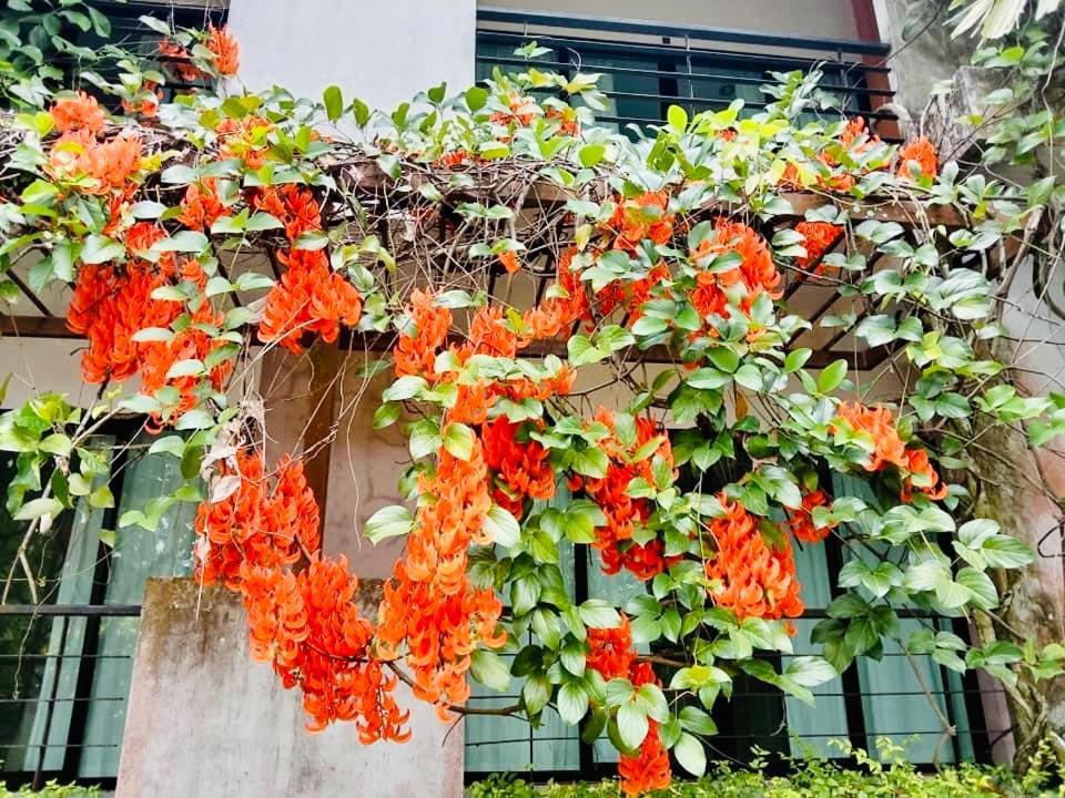 Wassana Sitdharma Guesthouse トラン エクステリア 写真