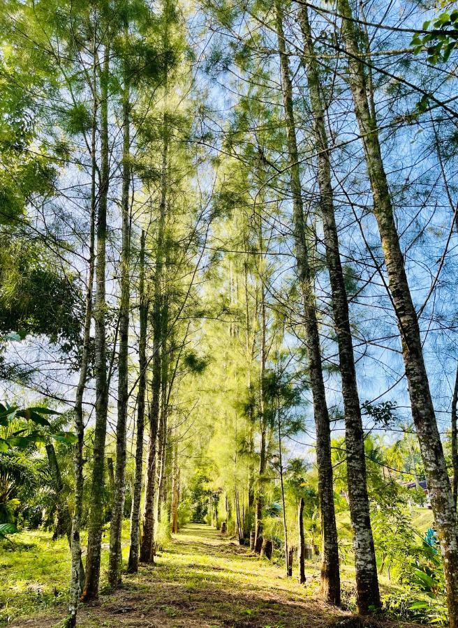 Wassana Sitdharma Guesthouse トラン エクステリア 写真