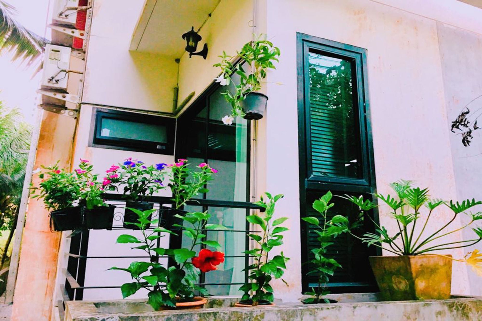 Wassana Sitdharma Guesthouse トラン エクステリア 写真